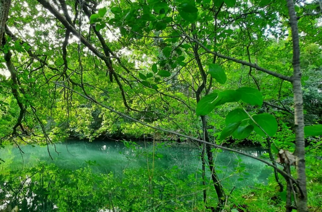 Gîte de charme écoresponsable près du Futuroscope | Le Rémijour Sud Vienne, 86700 Valence en poitou, bords du clain, moisseau, ceaux en couhé